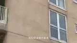 猫咪是否真的摔不死，国外一男子做起试验，结果超出想象