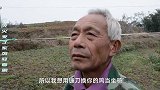 死神流落人间，想用镰刀换老头的鸡，结果却被老头骗去干苦力！