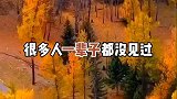 秋季美景，你去过几个