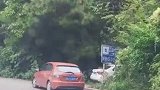 狗主人不小心把狗子落下了，狗狗一直追，追了好久