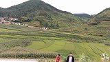 云南农村秋雨过后蘑菇成灾，掀开草丛就是一朵接一朵，采着真过瘾