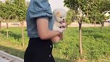 萌宠感恩一顿饭，终于找到你了