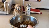 塑料兄弟情，这么的无情