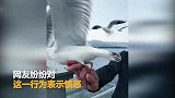住手! 为拍视频博关注 游客辣手摧鸥_超清
