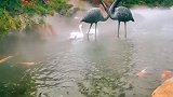 安静下来，真心生活。