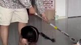 母女俩给爸爸点蜡烛过生日，爸爸：真正的心寒从来不是大吵大闹