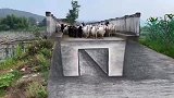 桥这是怎么了？还能不能过啊？