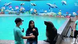 海狮配合女游客拍照，当看到拍完后，迅速和女子拉开距离