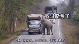 四川方言配音：活久见？大师真乃当世高人啊