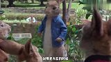 兔子又说大实话了