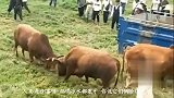 这老板好啊，只从他出了这个告示，我生活水平那是直线上升啊