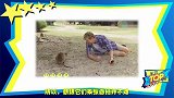 世界上最爱笑的动物，短尾矮袋鼠