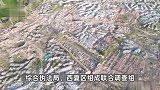 银川官方通报“西夏区农田堆满垃圾”：成立联合调查组
