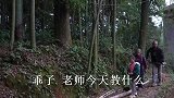 农村王四幺幺跟爷爷奶奶转山，摘天然水果品尝，童年真快乐