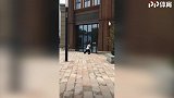 太极拳大妈让权健外援蒙圈 帕托:这是什么操作?