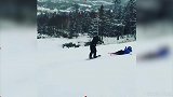 这次没翻车！黄博文滑雪遭飞铲 邪魅一笑灵活躲过