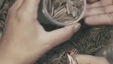 你们小时候，也这样买瓜子吗，真是回忆满满