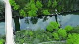 贵州大山的两座桥，一座是新中国时期建的，一座是清朝末年建的！