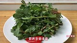 野菜马齿苋最经典的做法，5毛钱一大盘，补铁补钙，比吃肉有营养