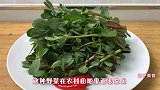 野菜马齿苋最经典的做法，5毛钱一大盘，补铁补钙，比吃肉有营养