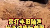 比亚迪唐越野能力超越丰田陆巡