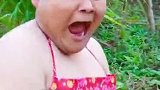 今天的鸡太好吃了，二毛没得吃生气了