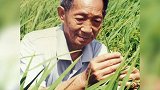 送别国之脊梁袁隆平 就连意识尚存的最后一刻想得也还是大家～真的破防了！