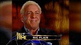 WWE-17年-WWE有意安排职业摔跤同综合格斗女子四骑士之战-新闻