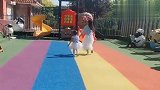 闺女去幼儿园的第一天，老师就发来这一段视频，也太有面子了！