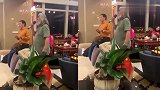 张纪中劲歌热舞！意外曝光自家豪宅