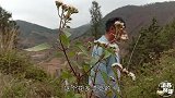 山里一种高贵的野生果实，浑身都长刺，你们吃过了吗？