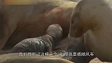 动物界这些爱偷懒的家伙，有事没事就喜欢搭个顺风车