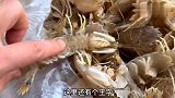 原来皮皮虾剥皮这么简单，一根筷子一撕就行？再也不怕扎手指了！