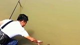 这一幕把人看呆，大黄鳝差一点被抓住