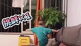 打弟弟要趁小！弟弟屡次挑衅姐姐，被一招制敌