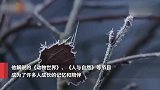 绝响 回顾赵忠祥那些家喻户晓的声音
