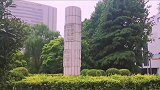 西安兴庆宫艺术合唱团演绎的《山丹丹开花红艳艳》