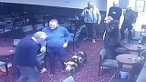 英国一头猪闯进工人俱乐部 工作人员用薯片将其引诱到外面