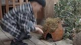 叫我僵小鱼：小鱼和小峰子的相聚是有预谋的？小峰子被小鱼骗了