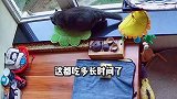 我是菠小萝