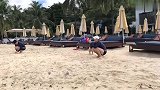 看实力帝鹦鹉遛狗，真是累坏了汪星人