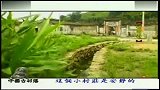 中国古村落-20120105-中国客家建筑奇葩之培田村