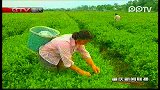 我市部署今年“两翼”万元增收工作