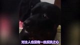 你还知道罗纳威哪些外号？一品带刀护卫？