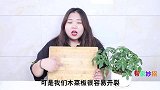 不管菜板多脏，教你个清洁窍门，不用洗洁精，菜板轻松洗净不发霉