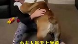 小主人每天上学前，狗狗都要一个大大的拥抱