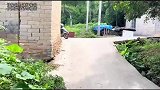 传递正能量，路见不平拔刀相助，可千万不要做冷漠的路人