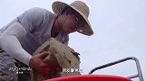 老广的味道鳗鱼吃东西的时候好壮观啊，食欲真好啊