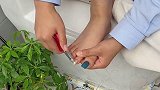 鹰嘴指甲钳
