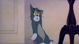 猫和老鼠：汤姆这个小色猫，看到美女猫就走不好路了，太搞笑了